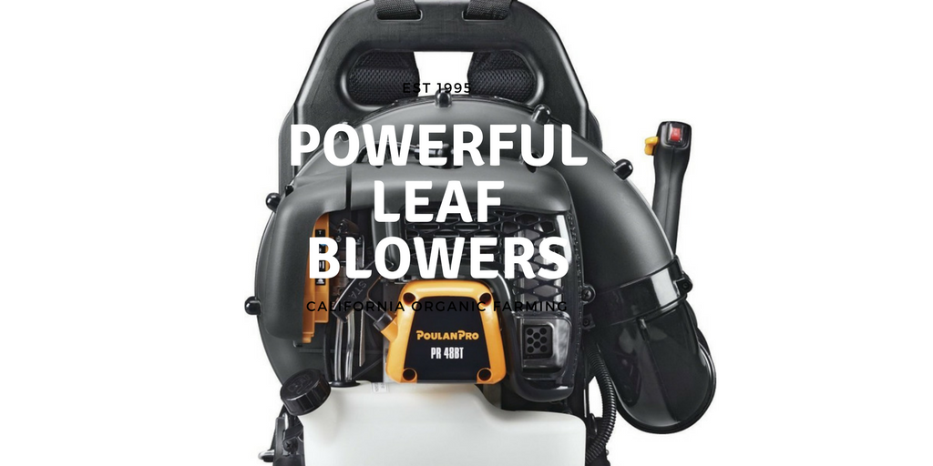 the best cordless leaf blower