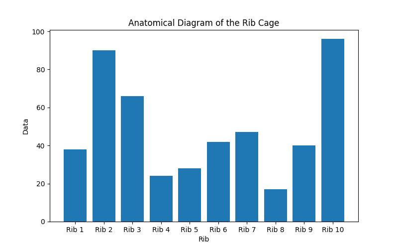 The Exact Number of Ribs You Have: A Comprehensive Guide