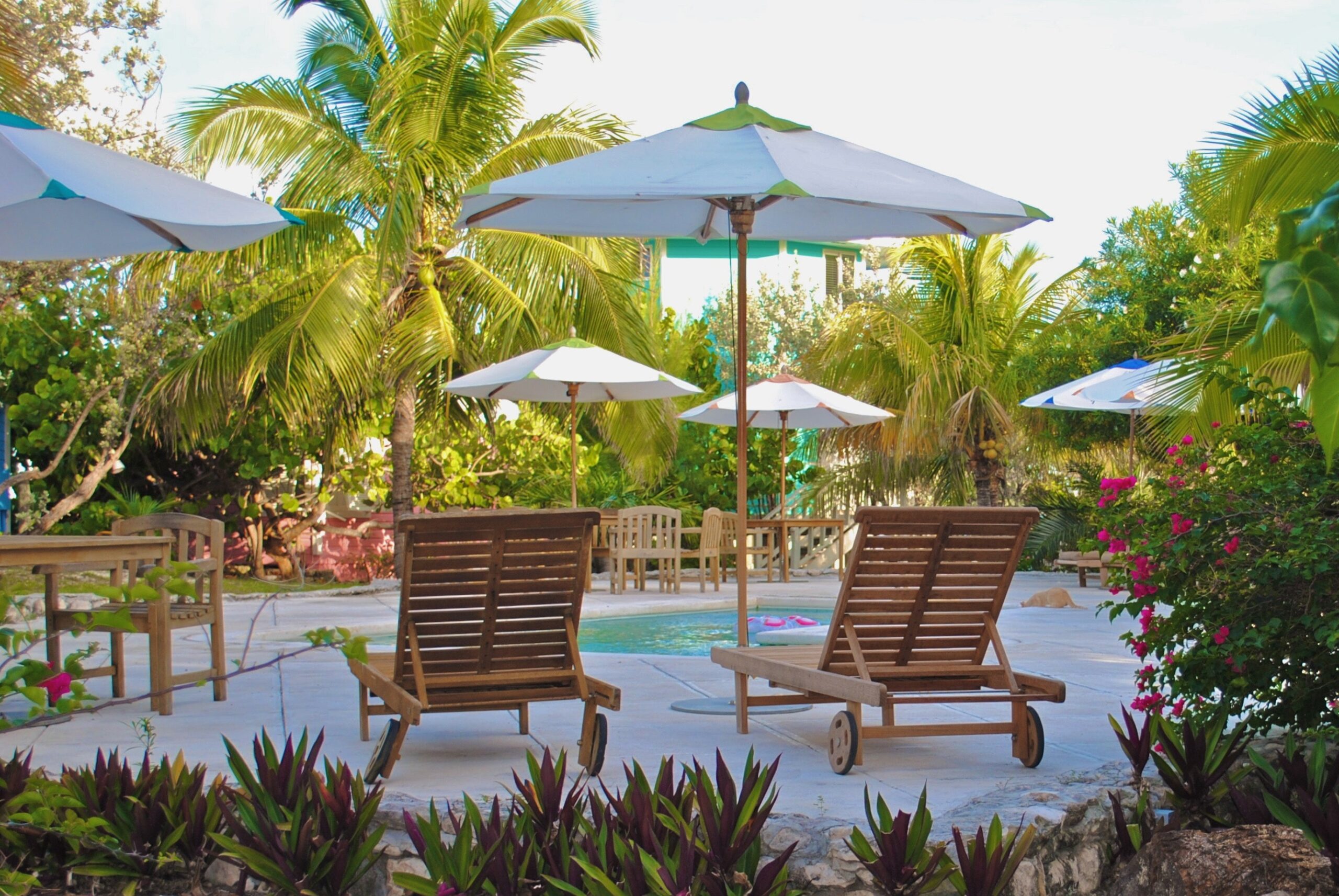 Best Patio Table Umbrellas