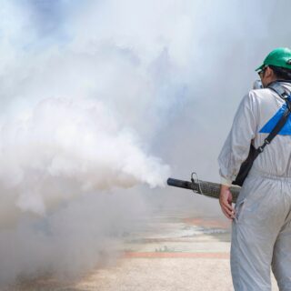 Best Patio Bug Repellent