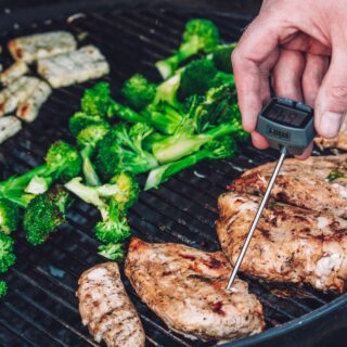 best didgital meat thermometer