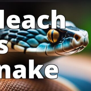 A close-up image of a snake's head and body to visually represent the topic of the article.